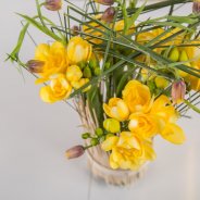 Freesia standing in tall grass detail