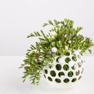 Colourful Freesia sphere