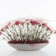 Boat with Dianthus