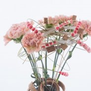 Playful Dianthus