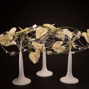 Christmas Moments by Pim van den Akker