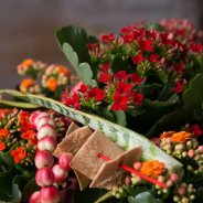 Kalanchoe design by Roos van Unen Flower Factor Always Kalanchoe1