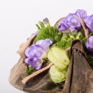 A bowl of Freesia close-up