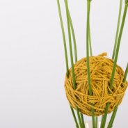 A close-knit Freesia construction detail