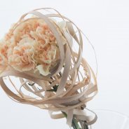 Simple Dianthus arrangement close-up