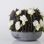 Respectful Freesia arrangement