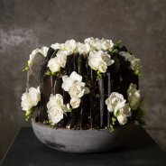 Respectful Freesia funeral arrangement