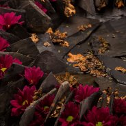 Purple Star Chrysanthemum form Zentoo wreath by Roos van Unen Flower Factor 1