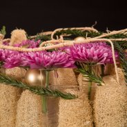 Romance Purple for Christmas Zentoo Roos van Unen Flower Factor