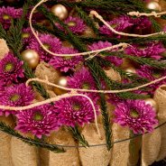 Romance Purple for Christmas Zentoo Roos van Unen Flower Factor