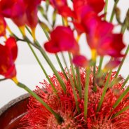 Fiery Freesia design close-up