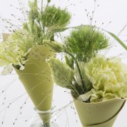 Leather cones with trendy Dianthus commercial adaptation close-up