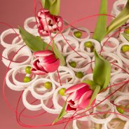 Sweet tulips