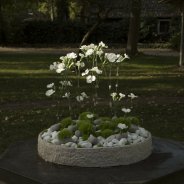 green trick funeral flower arrangement HilverdaKooij - Flower Factor Roos van Unen 