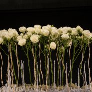 spray rose Snow World in Christmas flower arrangement by Pim van den Akker