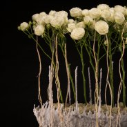 spray rose Snow World in Christmas flower arrangement by Pim van den Akker