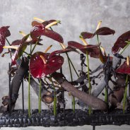 Dramatic flower arrangement with Anthurium Black Queen - Pim van den Akker