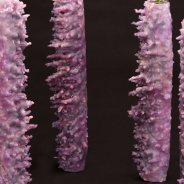 Vase design by Pim van den Akker
