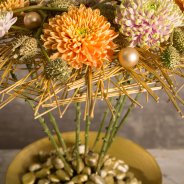 The 'Rossano Orange' and 'Rossano Charlotte' by Deliflor