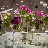 Sparkling Sparkz Breanthus Christmas arrangement