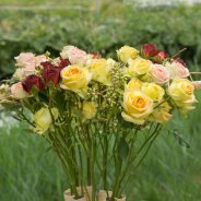 Herfst arrangement met trosrozen - close-up