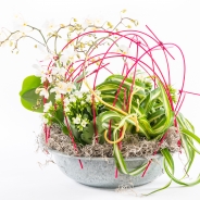 Stephanie Klockenbrink