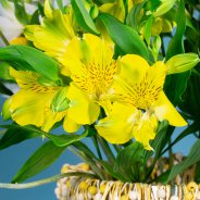 Fresh and summery Alstroemeria bouquet - Flower Factor