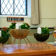 Advent arrangement with Kalanchoë