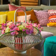 Trendy Dianthus in a cosy interior