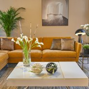 Modern interior style with Calla