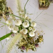 Pizarro - Dennis Lanzaat - Flower Factor