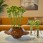 Kalanchoe in modern interior