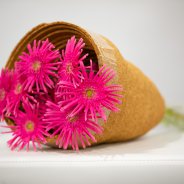 Fun mini Gerberas by LG Flowers - photo Nils van Houts