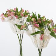 Simple romantic Alstroemeria bouquet close-up