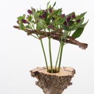 Natural autumnal Alstroemeria design close-up