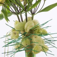 Fun spring bouquet with Alstroemeria close-up middle