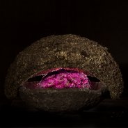 flower arrangement with Chrysanthemum Romance Purple from Zentoo - design Roos van Unen Flower Factor