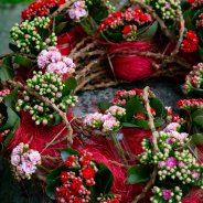 Memorial wreath with Kalanchoe plants