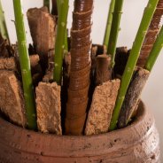 Detail Sunderland arrangement