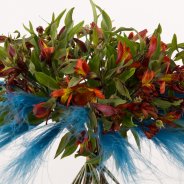Edgy Alstroemeria bouquet close-up