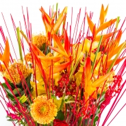 Chantal Vollenbroek en Jantine van Bruggen