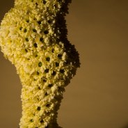 floral treasure Kennedy Cream close up design Pim van den Akker