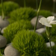 green trick funeral flower arrangement HilverdaKooij - Flower Factor Roos van Unen