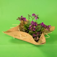 orchid arrangement idea Pim van den Akker Opti flor