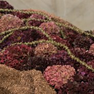 Classic Hydrangea in a natural funeral arrangement
