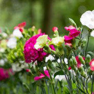 table decoration Dennis Lanzaat - Flower Factor