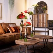 Cut Anthurium in a 'Tough' interior style