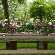 table decoration Dennis Lanzaat - Flower Factor