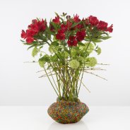 Colourful Alstroemeria design open flowers