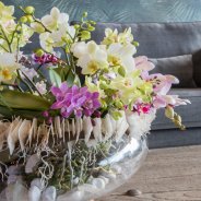 bowl of orchids Nelleke Bontje Flower Factor Opti flor close up